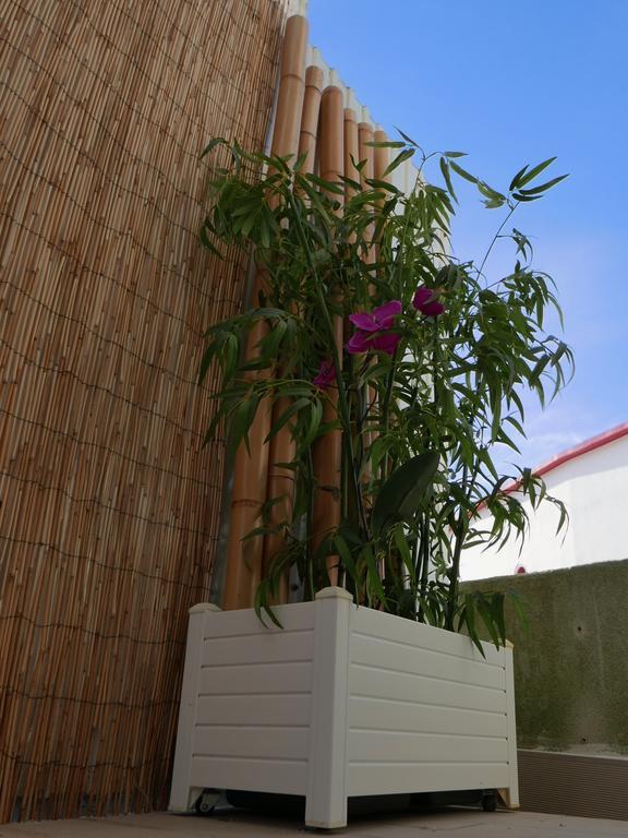 ナザレ Casa Do Cabetaヴィラ エクステリア 写真